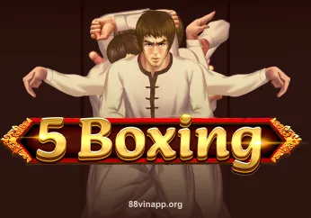 Hình ảnh 5 Boxing tại 88vin